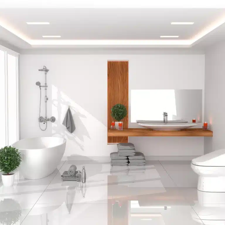 Luxury bathroom features